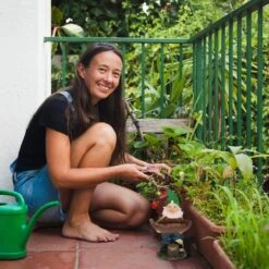 Nain De Jardin Avec Abreuvoir à Oiseaux -Komar Boutique 04c143d29d80468ab176b2ac383c1d83