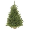 Sapin De Noël Avec Toile Forest Frosted -Komar Boutique 051ae8465a8e4bfdb9994c84bc7c7058