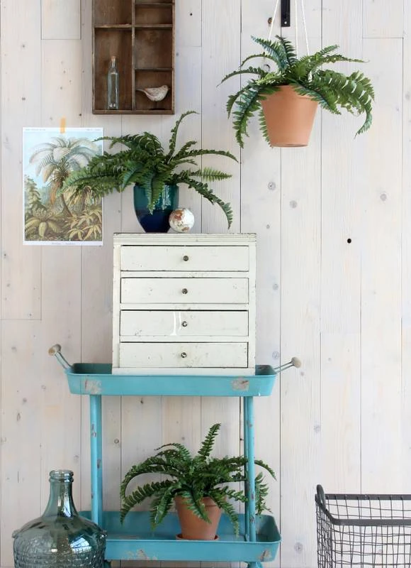 Plante Artificielle Boston Farn 4 Plante Artificielle Boston Farn – Image 2