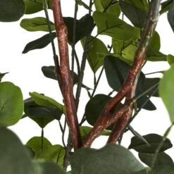 Plante Artificielle Eucalyptus -Komar Boutique 083d811451a84c46976332c143a27b82