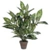 Plante Artificielle Dieffenbachia -Komar Boutique 0dc089b125b34737b61d101d520eb638