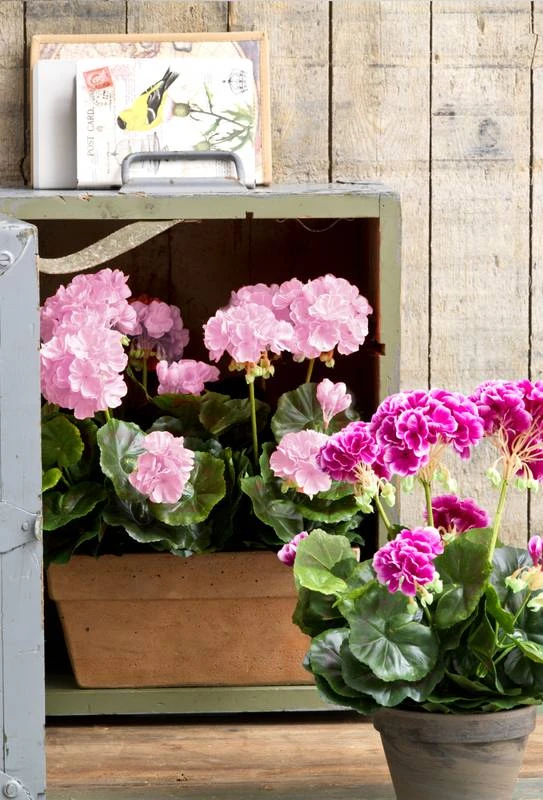 Plante Artificielle Geranien 4 Plante Artificielle Geranien – Image 2