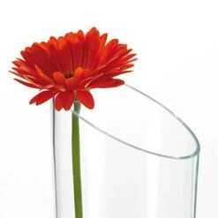 Vase Dynamic -Komar Boutique 1000134571 181004 08163502 GALLERYIMAGES P000000001000134571
