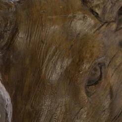 Décoration Murale Tête D’élan -Komar Boutique 1000140840 181114 074254207 GALLERYIMAGES P000000001000140840