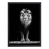 Tableau Déco Beautiful Lion -Komar Boutique 1000170211 190415 06524800579 IMAGE P000000001000170211