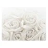 Tableau Déco Roses Blanches 2 Tableau Déco Roses Blanches -Komar Boutique 1000177856 190624 16444102360 IMAGE P000000001000177856