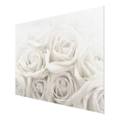 Tableau Déco Roses Blanches -Komar Boutique 1000177856 190624 16444202364 GALLERYIMAGES P000000001000177856