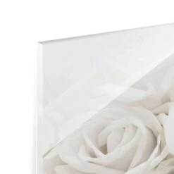 Tableau Déco Roses Blanches -Komar Boutique 1000177856 190624 16444202365 GALLERYIMAGES P000000001000177856