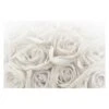 Papier Peint Roses Blanches 2 Papier Peint Roses Blanches -Komar Boutique 1000184825 190816 11004600534 IMAGE P000000001000184825