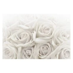 Papier Peint Roses Blanches