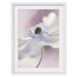 Impression D’art Brise D’anémone II
