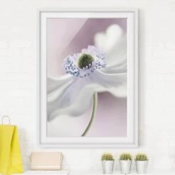 Impression D’art Brise D’anémone II -Komar Boutique 1000202509 200211 11312000002 DETAILS P000000001000202509