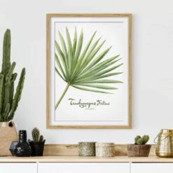 Impression Aquarelle Trachycarpus IV -Komar Boutique 1000202911 200211 11315102166 DETAILS P000000001000202911