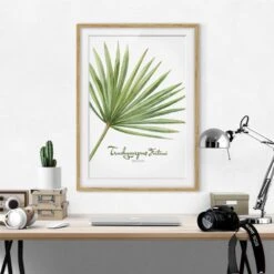Impression Aquarelle Trachycarpus IV -Komar Boutique 1000202911 200211 11315102167 DETAILS P000000001000202911