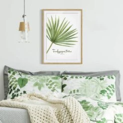 Impression Aquarelle Trachycarpus IV -Komar Boutique 1000202911 200211 11315102168 DETAILS P000000001000202911