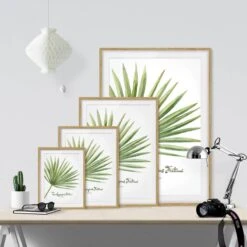 Impression Aquarelle Trachycarpus IV -Komar Boutique 1000202911 200211 11315102169 DETAILS P000000001000202911