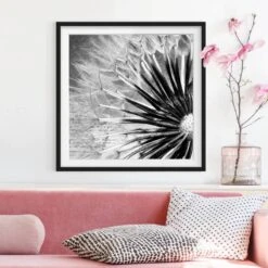 Tableau Déco Pissenlit Noir Et Blanc I -Komar Boutique 1000203050 200211 11320202921 DETAILS P000000001000203050