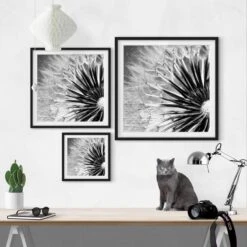 Tableau Déco Pissenlit Noir Et Blanc I -Komar Boutique 1000203050 200211 11320202923 DETAILS P000000001000203050