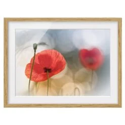 Tableau Déco Coquelicots Le Matin IV