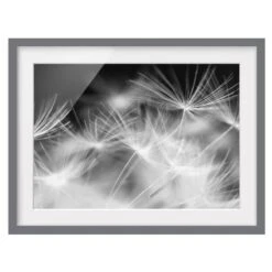 Tableau Déco Pissenlit III