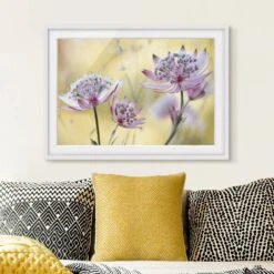 Impression D’art Astrantia Major II -Komar Boutique 1000203248 200211 11322104001 DETAILS P000000001000203248
