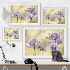 Impression D’art Astrantia Major II -Komar Boutique 1000203248 200211 11322104004 DETAILS P000000001000203248