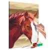 Peinture Par Numéro - Cheval Marron 2 Peinture Par Numéro - Cheval Marron -Komar Boutique 1000203740 200218 16272200441 IMAGE P000000001000203740