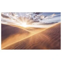 Komar Papier Peint Intissé Gently Touched