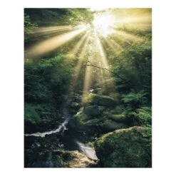 Komar Papier Peint Intissé Divine