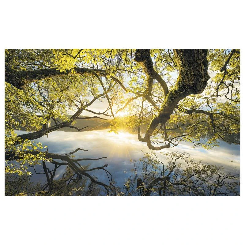 Komar Papier Peint Intissé Golden Embrace 3 Komar Papier Peint Intissé Golden Embrace