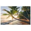 Komar Papier Peint Intissé Plage Secrète