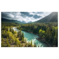 Komar Papier Peint Intissé Wild Canada