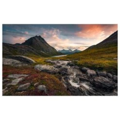 Komar Papier Peint Intissé Paradis Sauvage