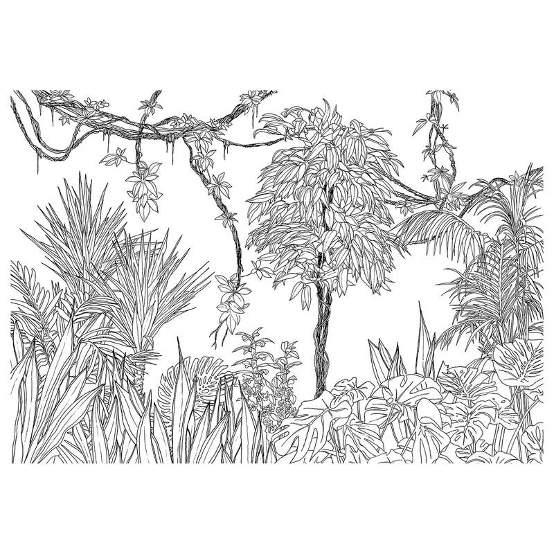 Komar Papier Peint Intissé Blanca 3 Komar Papier Peint Intissé Blanca