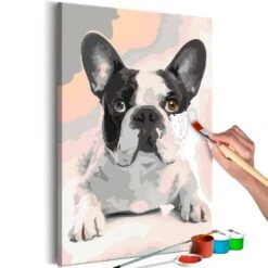 Peinture Par Numéro - Bouledogue I -Komar Boutique 1000240934 210219 17302300433 DETAILS P000000001000240934