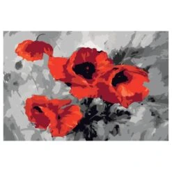 Peinture Par Numéro - Coquelicots