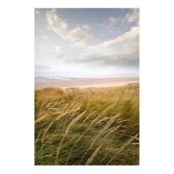 Tableau Magnétique Rêve De Dunes