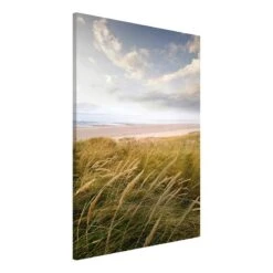 Tableau Magnétique Rêve De Dunes -Komar Boutique 1000246174 210219 08341600014 DETAILS P000000001000246174