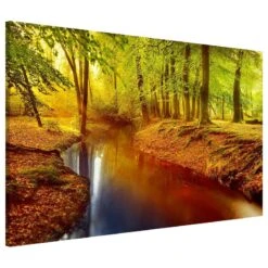 Tableau Magnétique Bois D’automne 9 Tableau Magnétique Bois D’automne -Komar Boutique 1000246178 210219 08342500031 DETAILS P000000001000246178