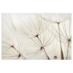 Tableau Magnétique Herbes Douces