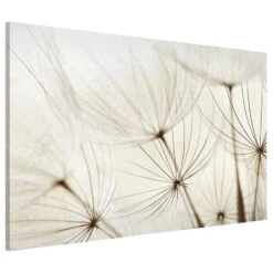 Tableau Magnétique Herbes Douces -Komar Boutique 1000246193 210219 08345800091 DETAILS P000000001000246193