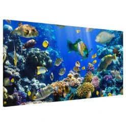 Tableau Magnétique Underwater Reef -Komar Boutique 1000246227 210219 08361600229 DETAILS P000000001000246227