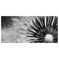 Tableau Magnétique Pissenlit