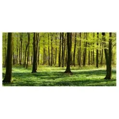 Tableau Magnétique Clairière