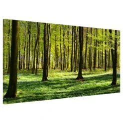 Tableau Magnétique Clairière -Komar Boutique 1000246236 210219 08363500266 DETAILS P000000001000246236