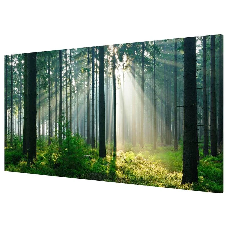 Tableau Magnétique Enlightened Forest 4 Tableau Magnétique Enlightened Forest – Image 2