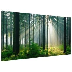 Tableau Magnétique Enlightened Forest 9 Tableau Magnétique Enlightened Forest -Komar Boutique 1000246252 210219 08370700330 DETAILS P000000001000246252