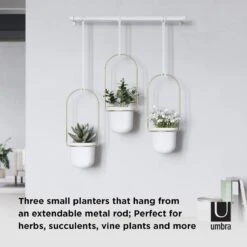 Umbra Lot De 3 Pots Suspendus Triflora -Komar Boutique 1000247901 210216 15365300034 DETAILS P000000001000247901