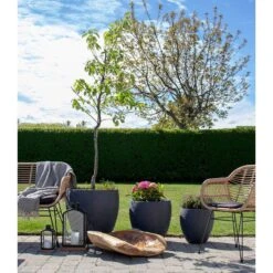 Coupe Rio 13 Coupe Rio -Komar Boutique 1000253671 210319 11463700158 MOOD DETAILS P000000001000253671 mood