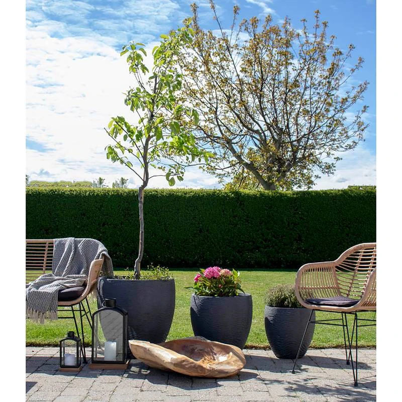 Coupe Rio 6 Coupe Rio – Image 4